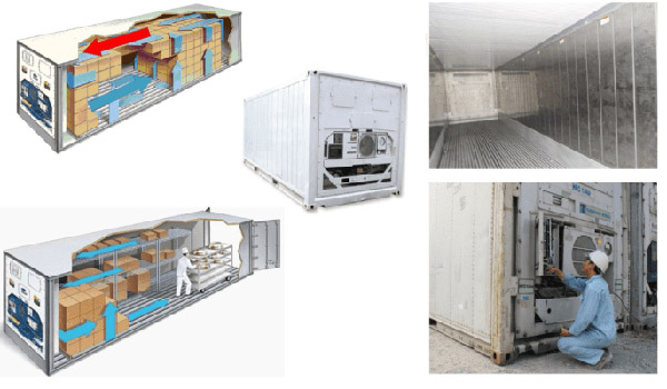 Lỗi máy lạnh container cần được phát hiện sớm và khắc phục nhanh chóng