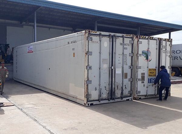 Container lạnh cũ có giá phải chăng nhưng vẫn hoạt động tốt