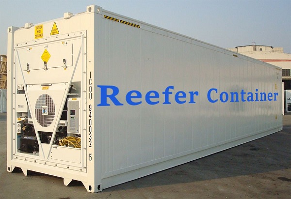 Reefer container có hệ thống dàn lạnh giúp bảo quản an toàn các hàng hóa có yêu cầu về nhiệt độ