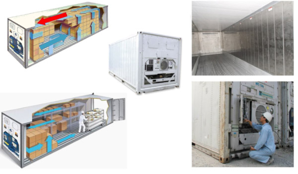 Container lạnh có khả năng cách nhiệt tốt