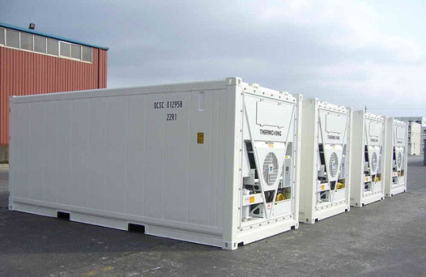 Không mở cửa container lạnh để đảm bảo nhiệt độ ổn định bên trong