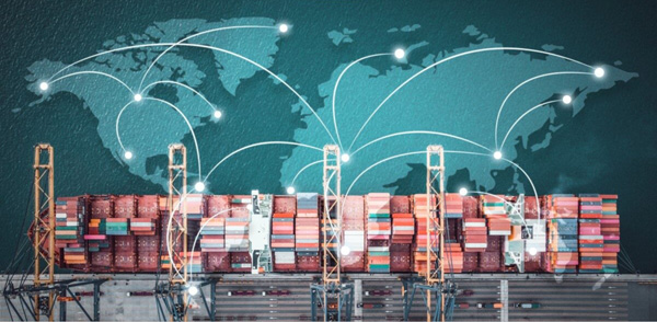 Tra cứu vị trí container giúp chủ động quản lý quy trình logistics