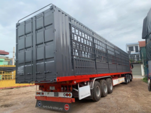 Container chở gia súc 40 feet