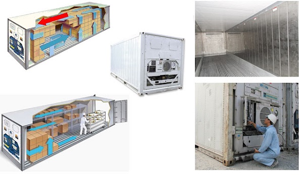 Sử dụng container lạnh trong vận chuyển hàng hóa cần kiểm soát nhiệt độ