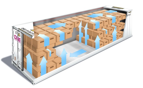 Xếp hàng trong container lạnh