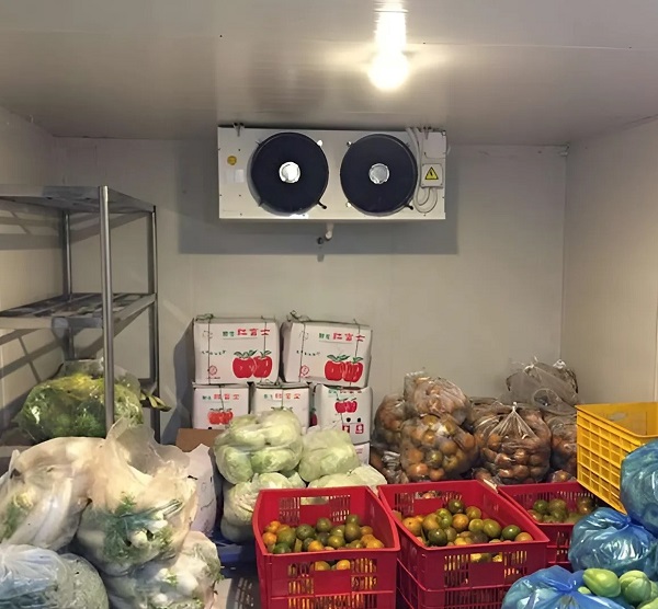 Bảo quản thực phẩm trong container lạnh