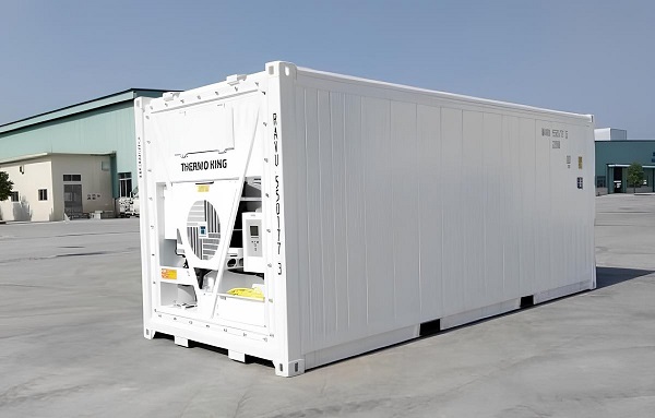Container lạnh 20 feet